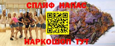 шишки Кимры